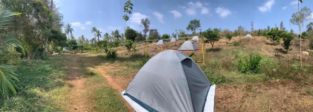 فندق Wilderness Jungle Camp Malavalli المظهر الخارجي الصورة